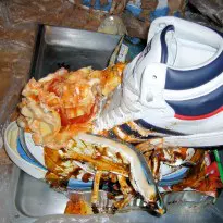 messy Jordans and other stories